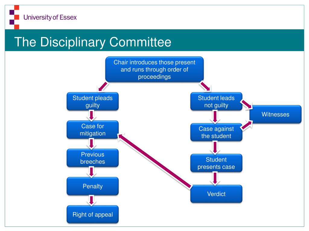 Discipline & Examination Committee